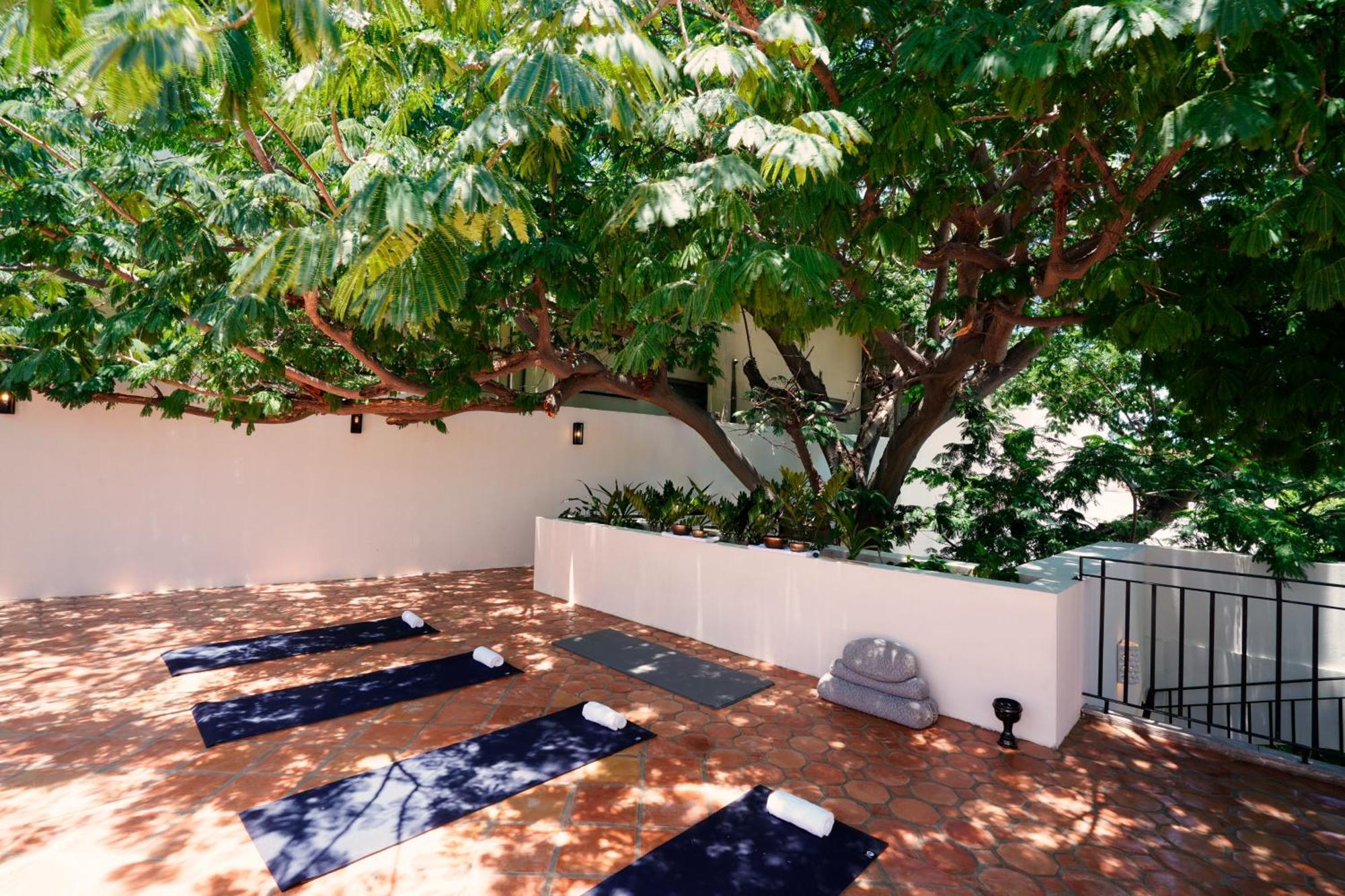 San José del Cabo Tropicana Los Cabos, Tapestry Collection By Hilton מראה חיצוני תמונה